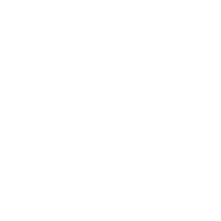 suspension